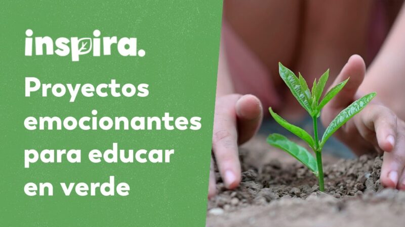 Inspira a la Nueva Generación: Proyectos Impactantes de ODS Infantil